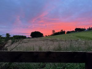 Photo 25- click for photo gallery